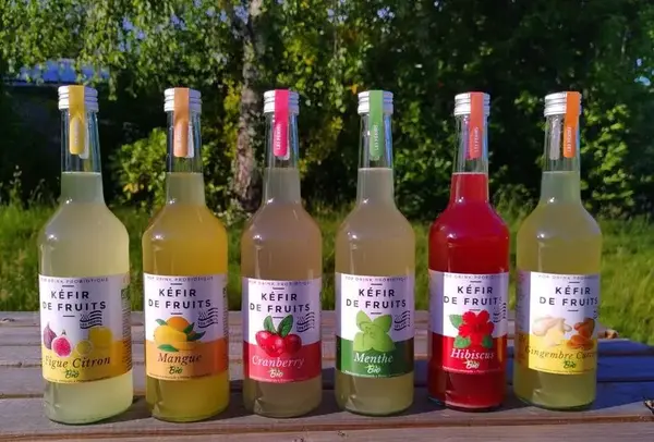 Les fékirs - kéfir de fruit artisanal breton