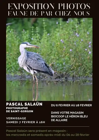EXPO-VENTE : FAUNE DE PART CHEZ NOUS